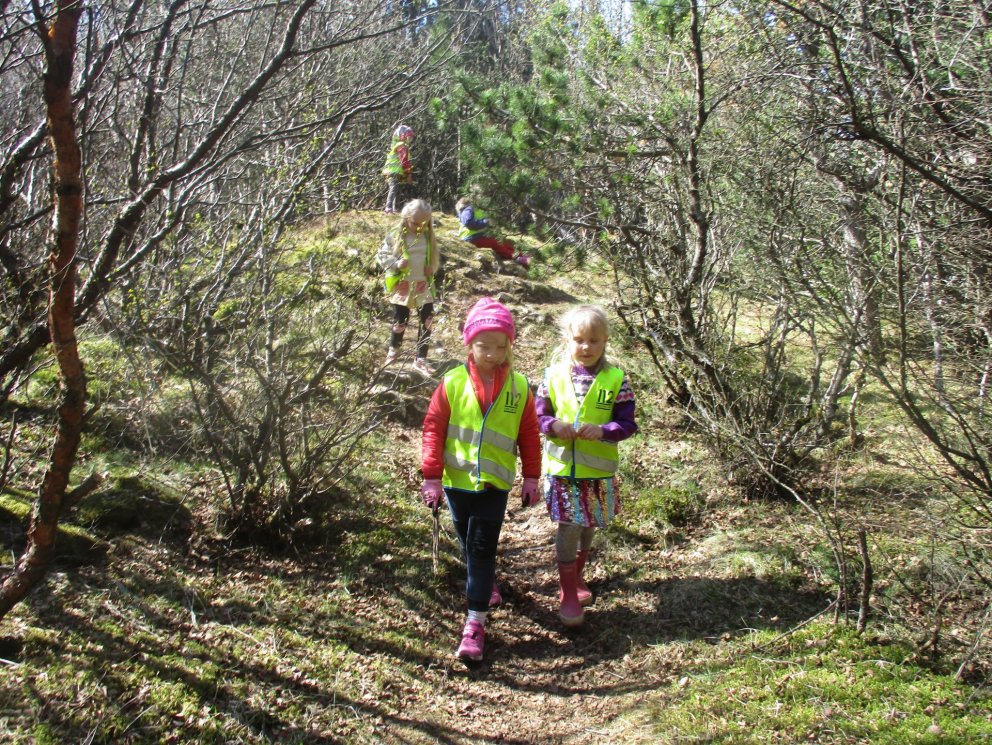 Svipmyndir úr útikennslu