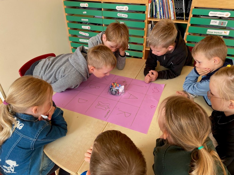 Krakkar á Ási upptekin við að fylgjast með hvort bjallan fari rétta leið.